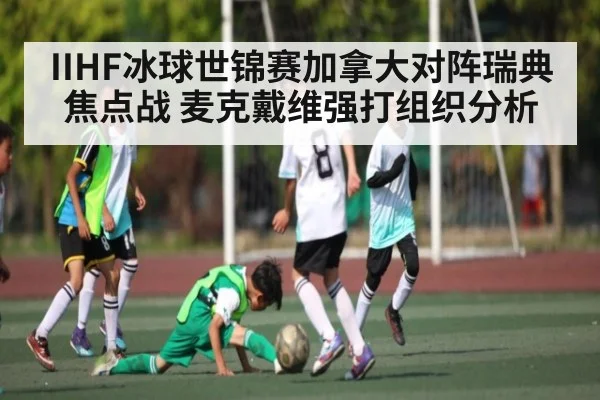 IIHF冰球世锦赛加拿大对阵瑞典焦点战 麦克戴维强打组织分析