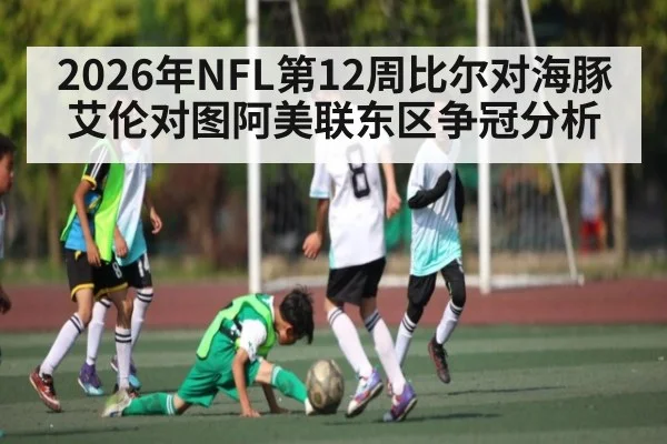 2026年NFL第12周比尔对海豚艾伦对图阿美联东区争冠分析